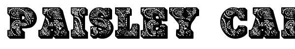 Paisley Caps font preview